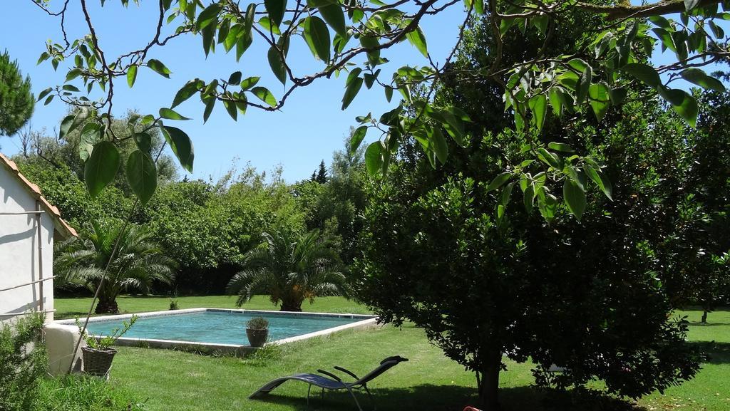 Mas De Bouvet En Camargue Bed & Breakfast Albaron Eksteriør bilde