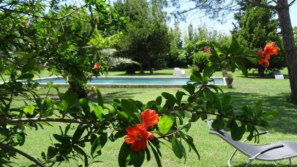 Mas De Bouvet En Camargue Bed & Breakfast Albaron Eksteriør bilde