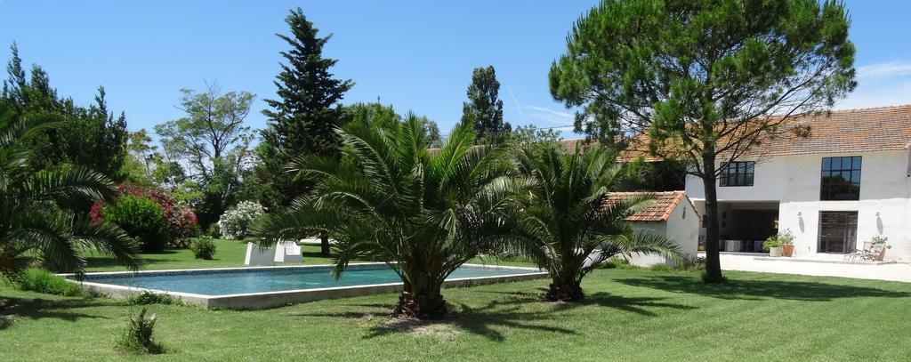 Mas De Bouvet En Camargue Bed & Breakfast Albaron Eksteriør bilde