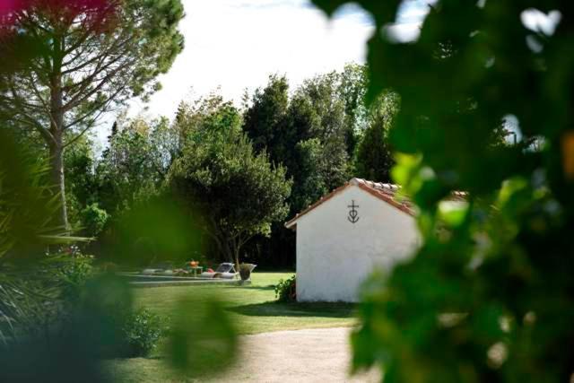 Mas De Bouvet En Camargue Bed & Breakfast Albaron Eksteriør bilde